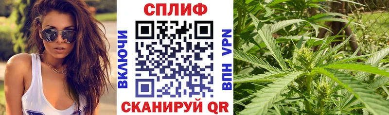 Купить наркотик аптеки Светлоград Гашиш Alpha-PVP АМФЕТАМИН МАРИХУАНА COCAIN МЕФ