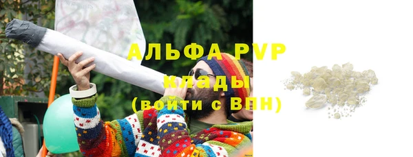 стафф Арсеньев
