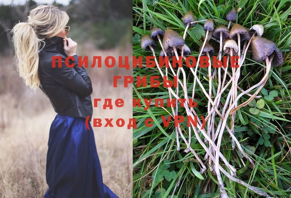 стафф Арсеньев