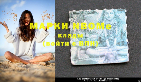 стафф Арсеньев