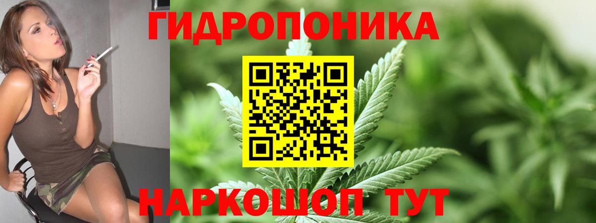 Марихуана Bruce Banner  Конопля AK-47  Светлоград  Канабис SATIVA & INDICA  Вход с VPN  МАРИХУАНА ГИДРОПОН 